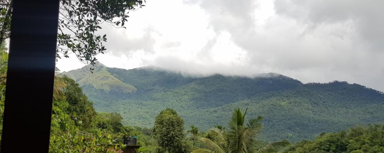 فيثيري Wayanad Doubletree Villa المظهر الخارجي الصورة