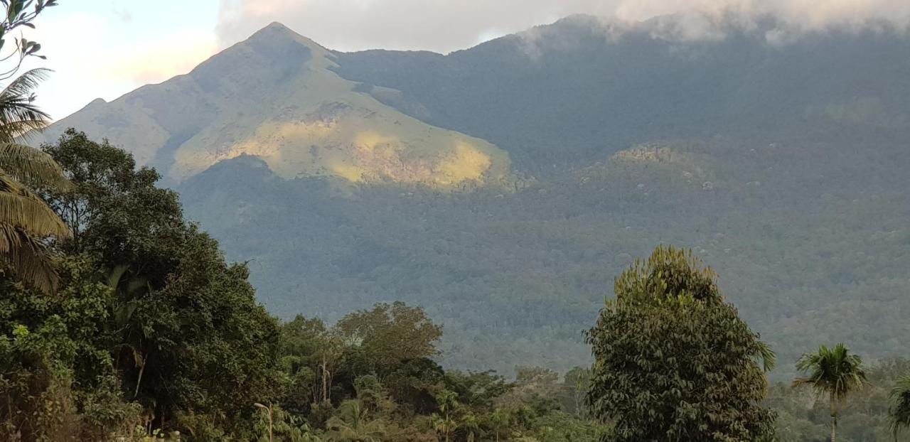 فيثيري Wayanad Doubletree Villa المظهر الخارجي الصورة