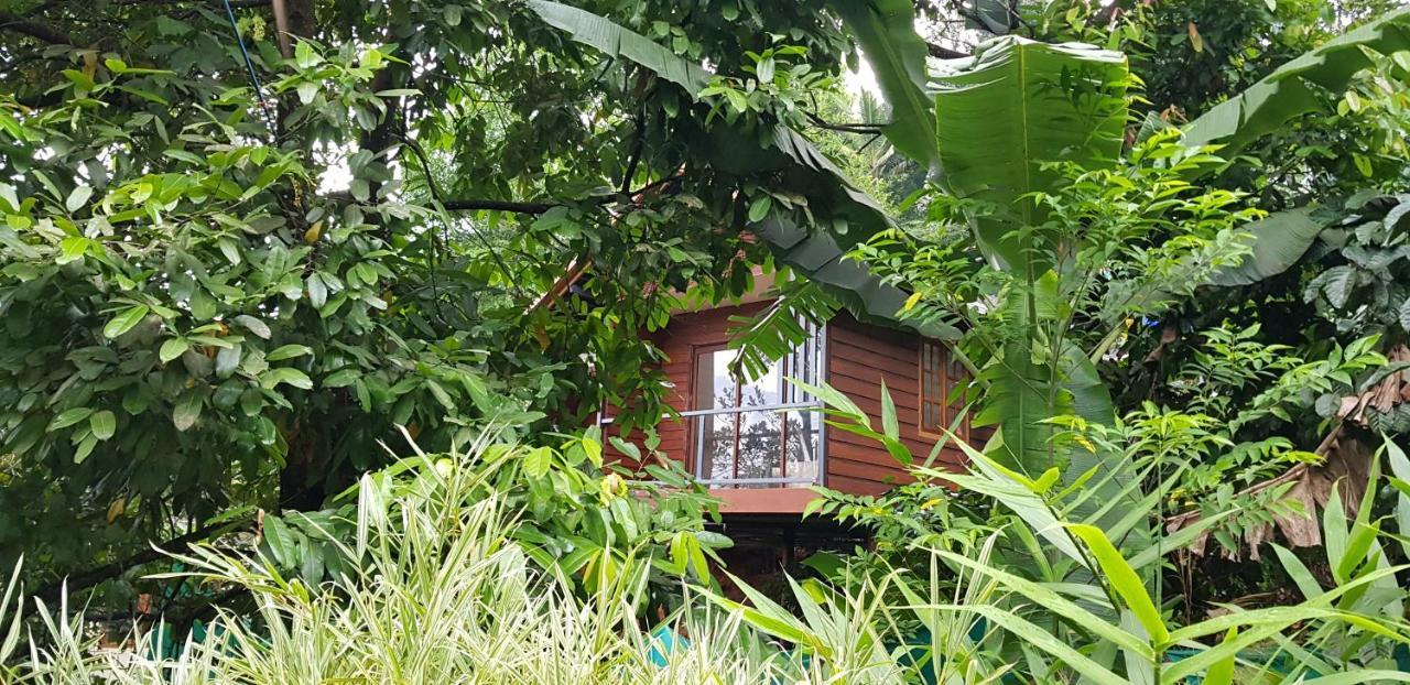 فيثيري Wayanad Doubletree Villa المظهر الخارجي الصورة