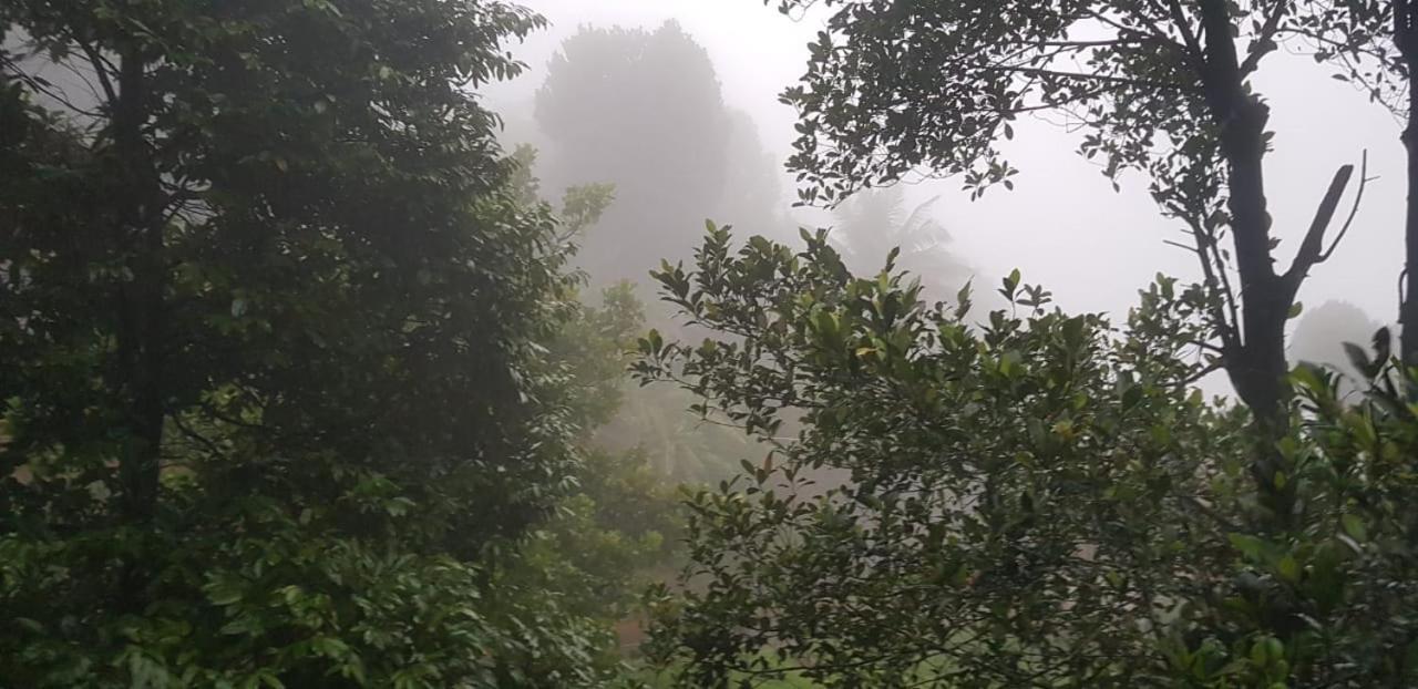 فيثيري Wayanad Doubletree Villa المظهر الخارجي الصورة