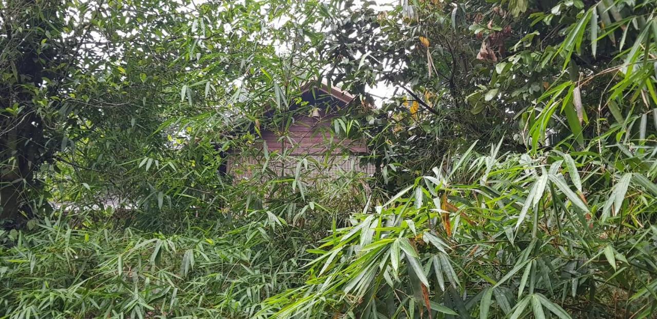 فيثيري Wayanad Doubletree Villa المظهر الخارجي الصورة