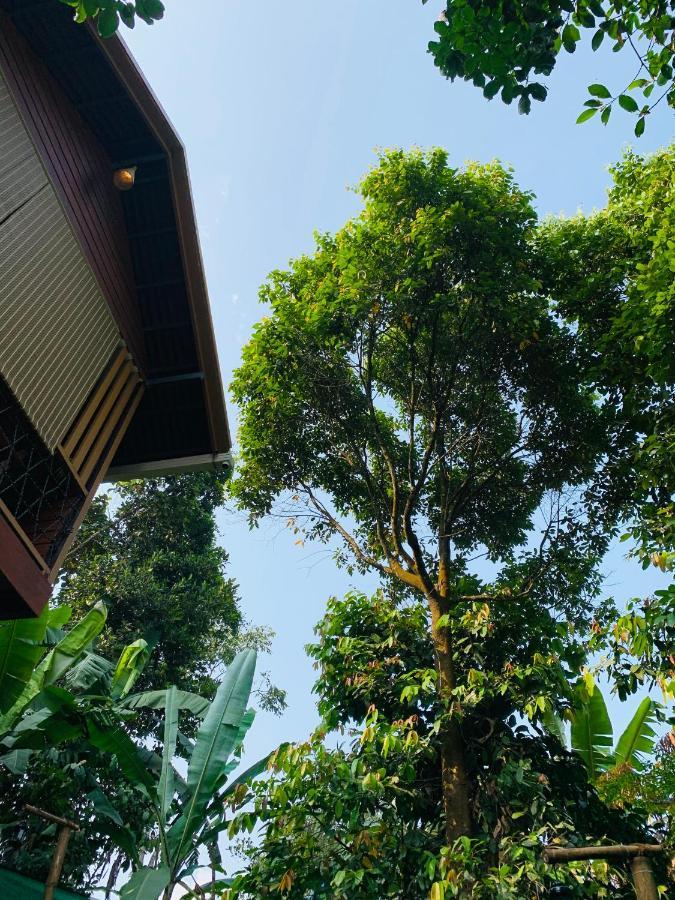 فيثيري Wayanad Doubletree Villa المظهر الخارجي الصورة