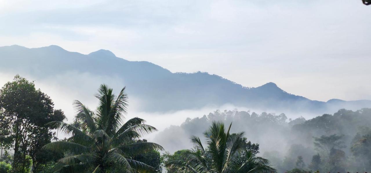 فيثيري Wayanad Doubletree Villa المظهر الخارجي الصورة